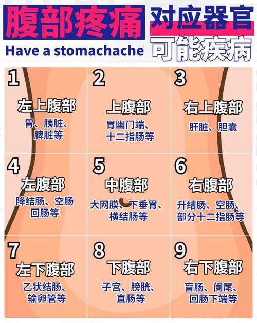 腹部疼痛9位置图