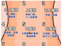 腹部疼痛9位置图 腹部疼痛的常见原因