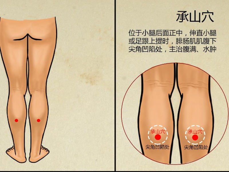 承山穴位置图