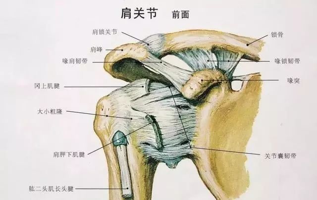 肩背疼痛要警惕哪三种病 肩膀疼痛的治疗方法快速止痛