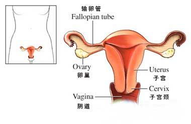 崩漏是什么意思 月经崩漏是什么意思如何治疗