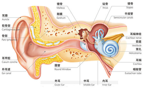 中耳炎手术方法有什么 耳朵疼是不是中耳炎