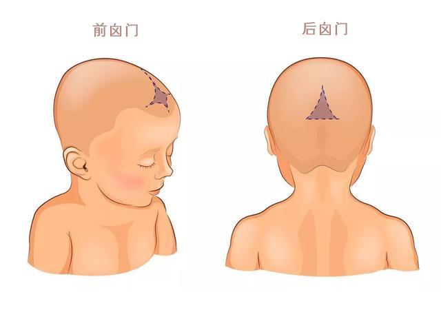 囟门小怎么办 新生儿囟门小的原因