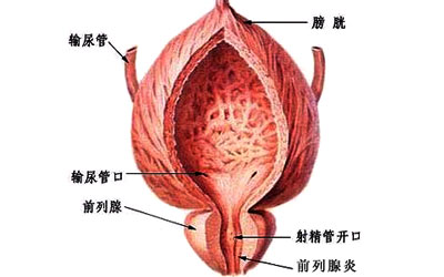 男人自慰对身体有什么好处 过度自慰对前列腺健康的影响