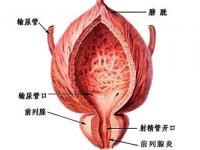 男人自慰对身体有什么好处 过度自慰对前列腺健康的影响