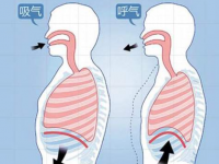 胸肌怎样锻炼呼吸喘鸣音是怎么回事 喘气嗓子有鸣音是什么病